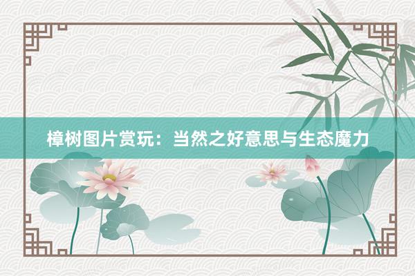 樟树图片赏玩:当然之好意思与生态魔力