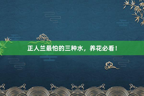 正人兰最怕的三种水,养花必看!